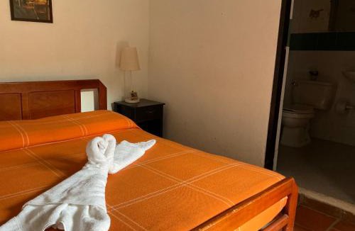 Curiti House | Luna Munay Hostel