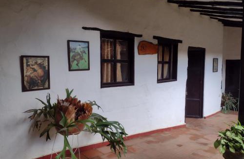 Curiti House | Luna Munay Hostel