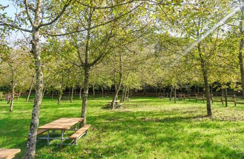 Pontremoli Apartment | Lunigiana Experience