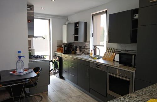 Sinpetru Villa | Lux - Confort