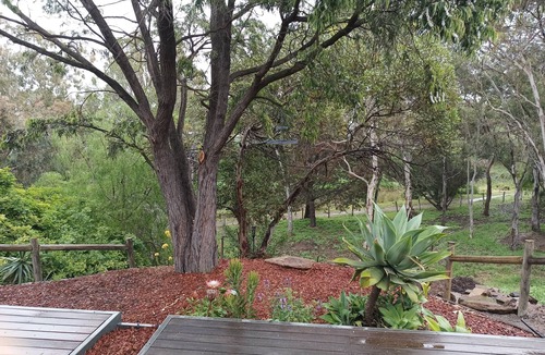 Strathalbyn Cottage | Lux Modern Minimalist Getaway, King, Open Fire, River Access/Views in Township.
