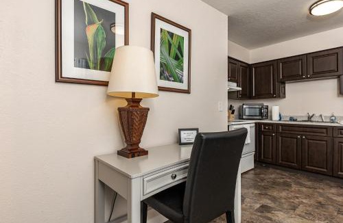 Tarpon Springs Apartment | Luxurious 2 bedroom near Innisbrook Golf Resort!
