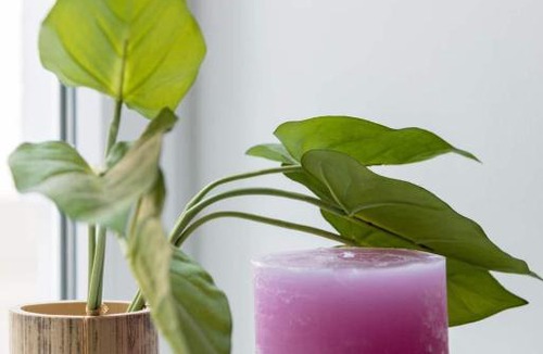 Roßau Apartment | Luxurious and Spacious 5 min walk to city center, 1-2