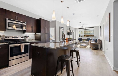 Rolling Mill Hill Condo | Luxurious Large 2 bed 2 bath Downtown Condo- #302