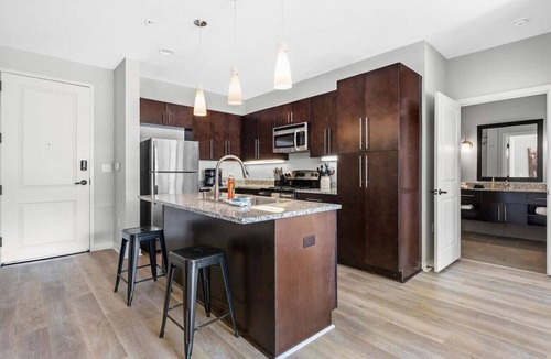 Rolling Mill Hill Condo | Luxurious Large 2 bed 2 bath Downtown Condo- #302
