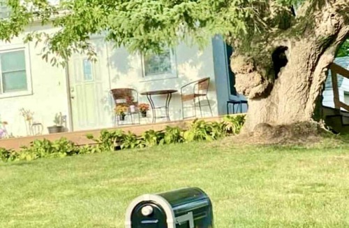 Golden Valley House | Luxurious Peaceful Dwelling in the City Valley