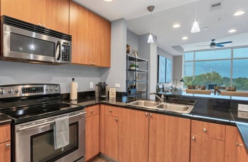 South Eola Apartment | Luxury 1260sq ft 2 Bd/2BTH in DT