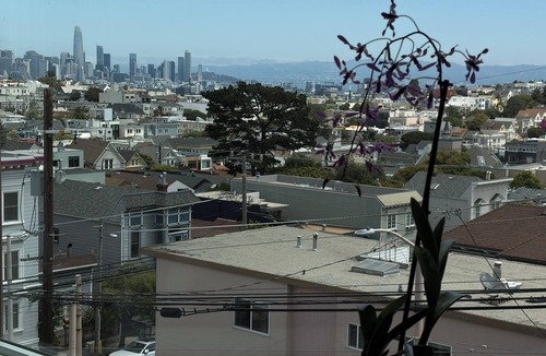 Noe Valley House | Luxury 2BR/2.5BA Home, Heart of Noe, Amazing Views, Chef's Kitchen, Spa, Parking