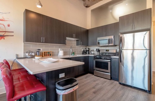 Near South Side Apartment | Luxury 3BR Duplex with Private Rooftop Penthouse with Views Near McCormick Place