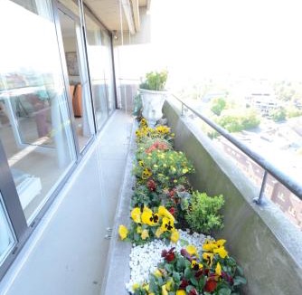 Golzheim Apartment | Luxury apartment in Düsseldorf near trade fair