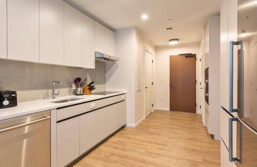 Seaport District Apartment | Luxury Apt Heart of Seaport Walk Downtown