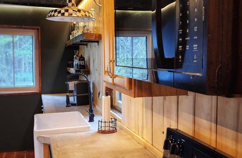 Hammondsport House | Luxury Forest Retreat: Outdoor Sauna & Plunge Tubs