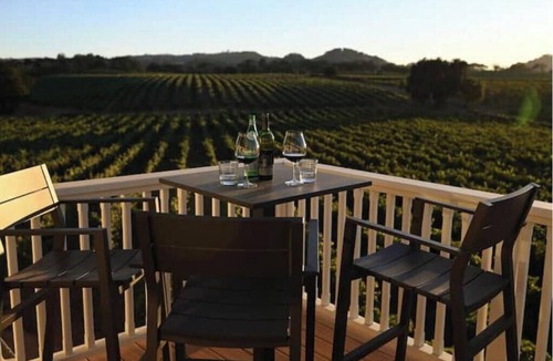 Healdsburg House | Luxury Healdsburg Estate & Vines