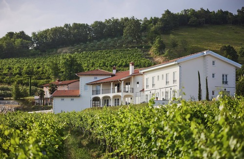Brda Villa | Luxury Hilltop Vineyard Villa,Kojsko- 6BR/6BA, Private Pool, Endless Views