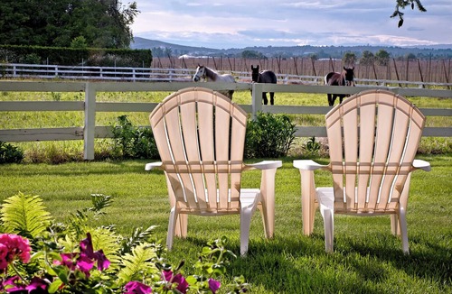 Grandview Bed & Breakfast | Luxury Jacuzzi suite , Private entrance , Full Breakfast