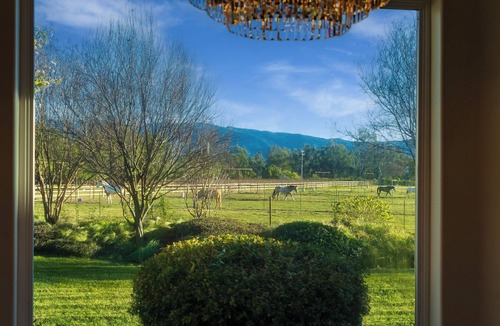 Santa Ynez House | Luxury Living in Santa Ynez Horses & Exceptional Outdoor Living