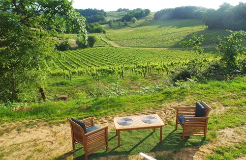 Monprimblanc Cabin | Luxury Lodge Tent in the vineyard