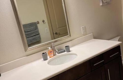 Astrodome Apartment | Luxury One Bedroom located by Med Center/NRG