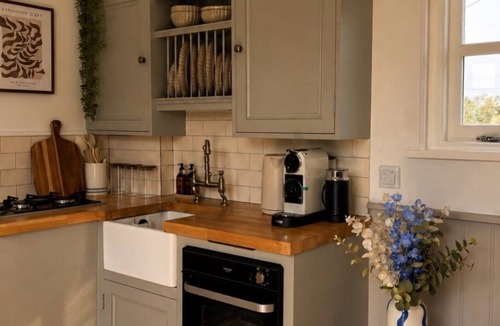 Pattiswick Apartment | Luxury Shepherds Hut with outdoor area and hot tub