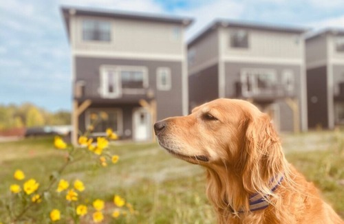 Riverside House | Luxury Ski Home | Sauna | Views | Dogs | Trail Access