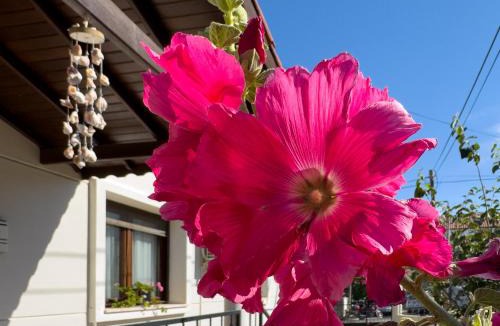 Datca City Center Villa | Luxury Stone Villa in the Heart of Datça for 10 People