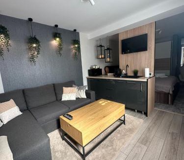 Copou Apartment | Luxury Studio