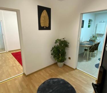 Alexandria Apartment | Luxury Suites