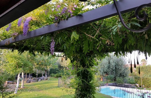 Acireale Villa | Luxury Villa with Large Pool, Vineyard, Views of the Sea, Taormina and Mt.Etna