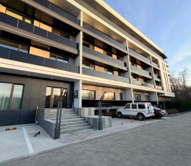 Barlad Apartment | LVO Studio