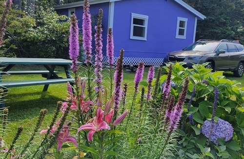 Stanhope Cottage | Lyons Cottages - Cottage #5, 2BR Walk to the Beaches of Stanhope National Park!