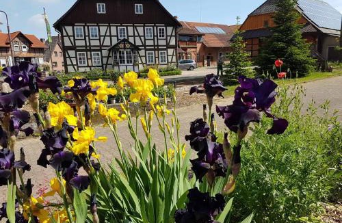 Emmerthal Apartment | Müllers Hof Ferienwohnung/Pension