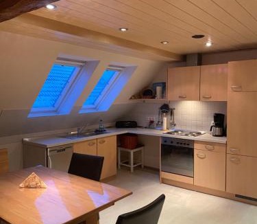 Wolframs-Eschenbach Apartment | Münsterblick