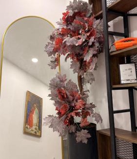 Mudanya Hotel | Mütena konaklama