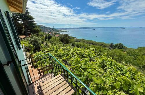 Roiano-Gretta-Barcola-Cologna-Scorcola Apartment | M&S Holiday House