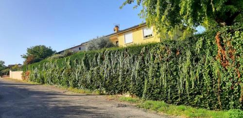 Janneyrias Apartment | Ma maison fleurie proche AEROPORT LYON ST EXUPERY, LDLC ARENA, Groupama Stadium,Eurexpo