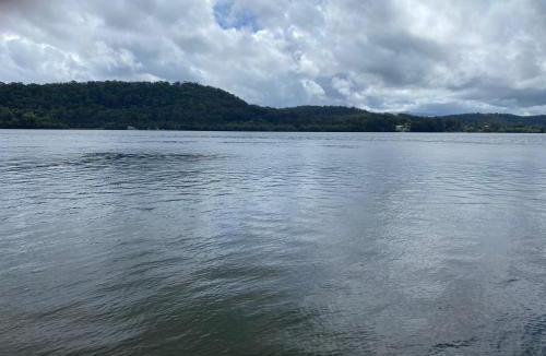Maclean Hotel | Maclean Riverside Cabin Park
