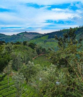 Coonoor Hostel | Mad & Nomad Backpackers Hostel