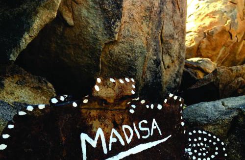 Kalkbron Other | Madisa Camp