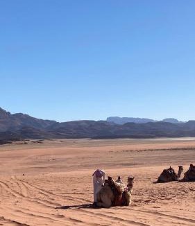 Wadi Rum Apartment | Maea wade ram
