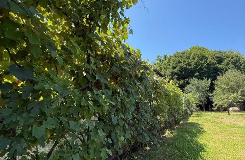 Curtea De Arges Villa | MaeStar