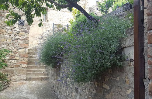Montemassi Apartment | Magical place, middle ages and nature!