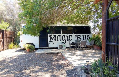 Chlorakas Other | Magic Bus