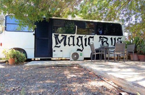 Chlorakas Other | Magic Bus
