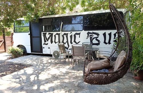 Chlorakas Other | Magic Bus