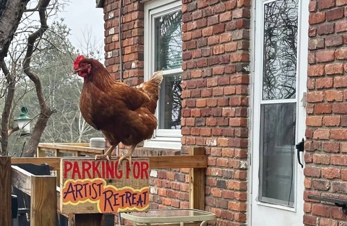 Coeymans Hollow House | Magic Forest Farm's Artist Retreat