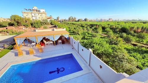 Luxor House | Magic Garden House