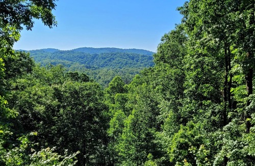 Brevard Cabin | Magic Mountain at Connestee Falls - Renovated 3/2 - Great Views!