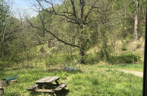 Mars Hill House | Magical art filled cottage in the blue ridge mountains