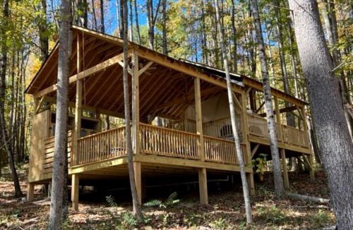 Traphill Other | Magical Glamping Tent in the Woods near Stone Mountain State Park, North Carolina