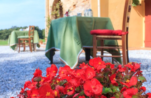 Guasticce Other | Magnificent apartment in the Tuscan countryside with swimming pool